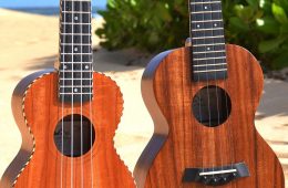 OMG Music, Twisted Wood Ukuleles