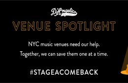 D'Angelico Venue Spotlight